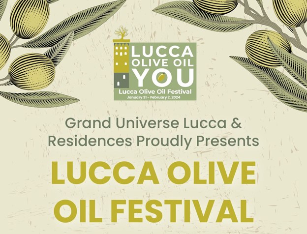 Olive plant with festival name